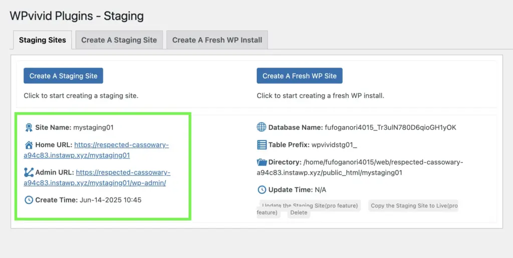 Wpvivid staging url