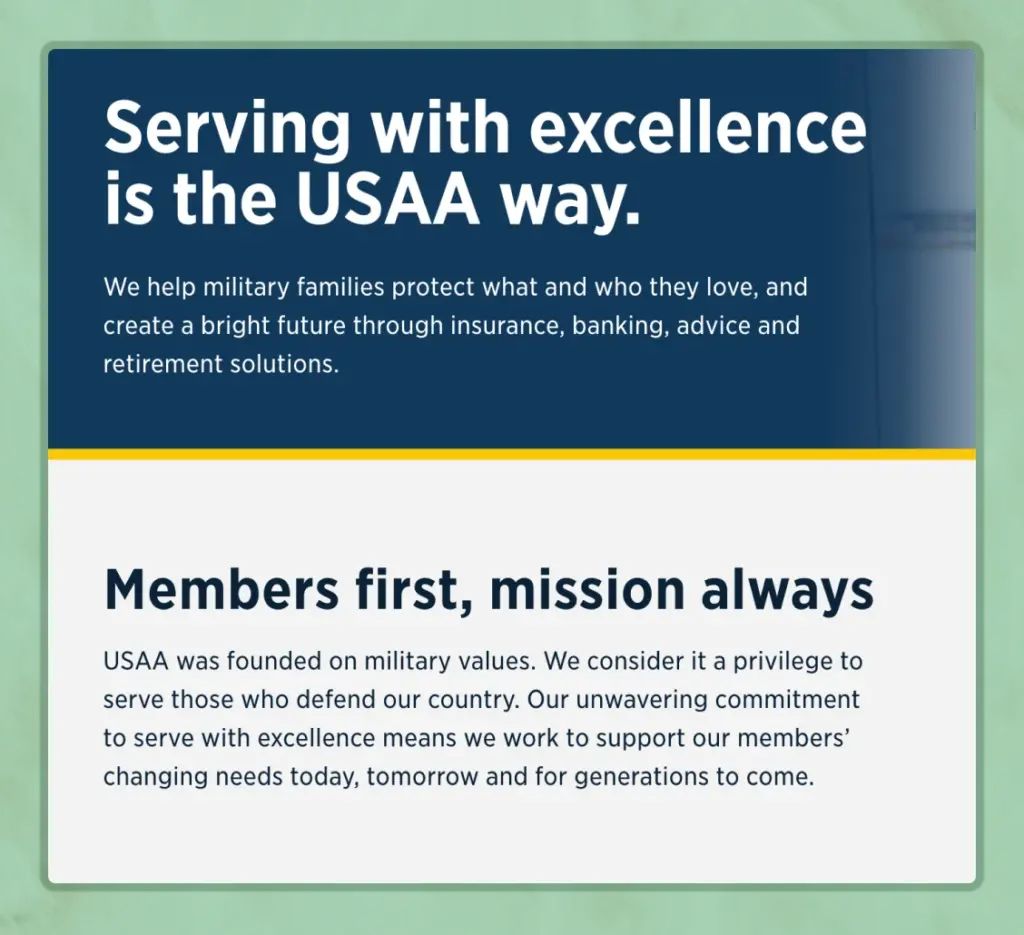 USAA's branding strategy -  customer target