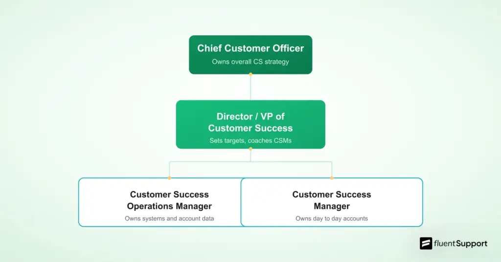 Customer success team org chart from CCO to CSM